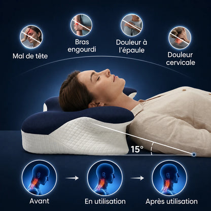 Piloma ErgoFlex 2.0