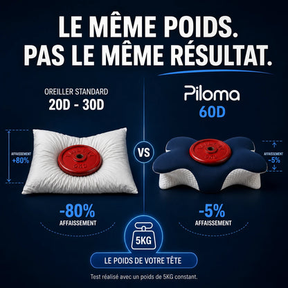 Piloma ErgoFlex 2.0