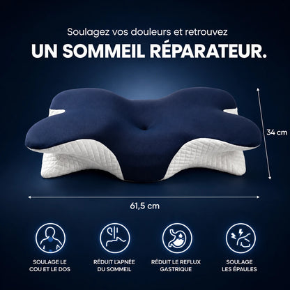 Piloma ErgoFlex 2.0