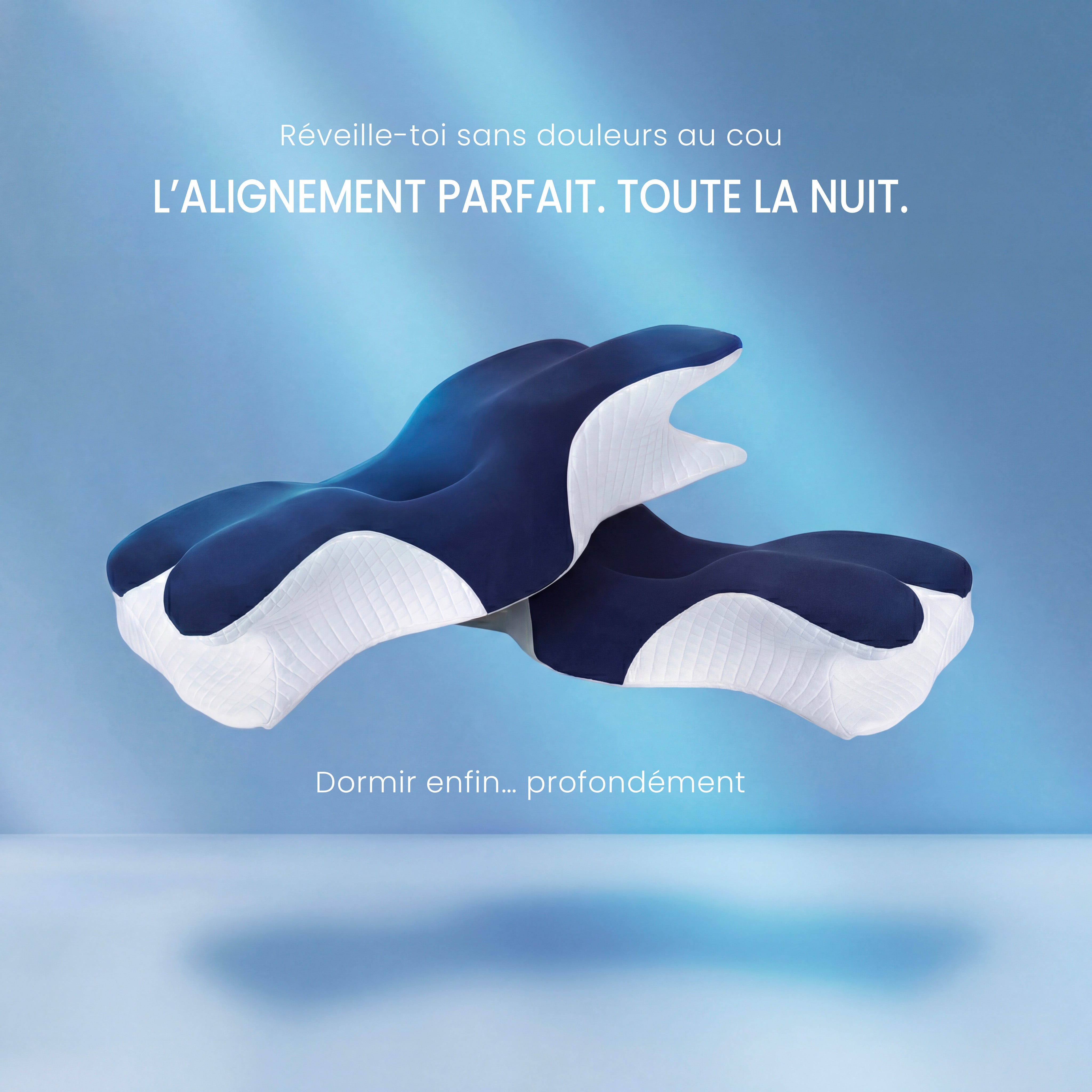 Piloma ErgoFlex® 2.0